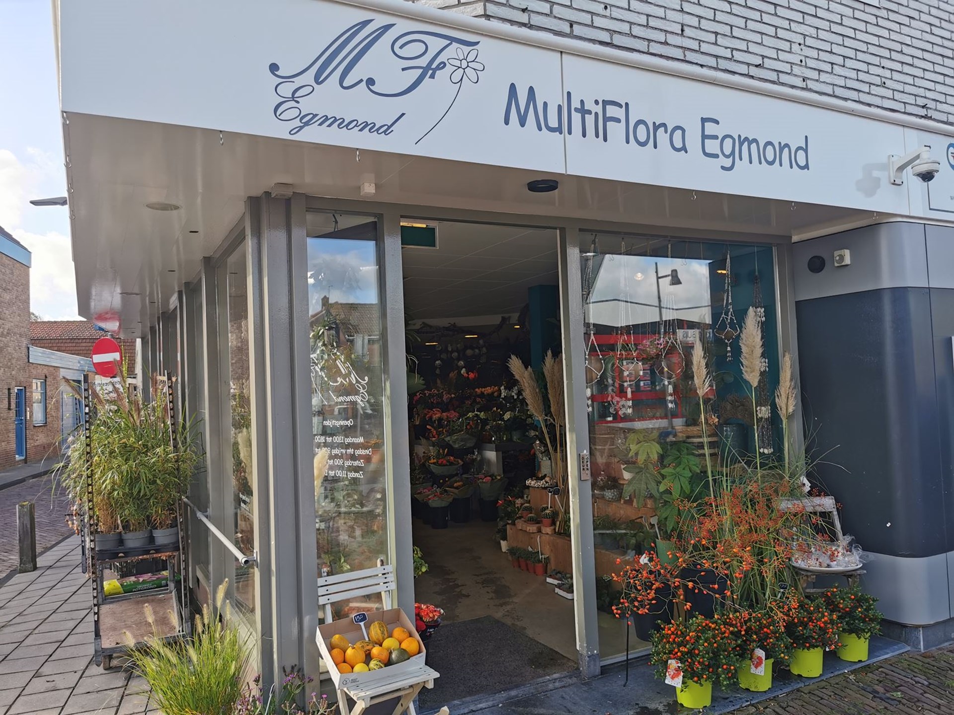 Multiflora Egmond banner